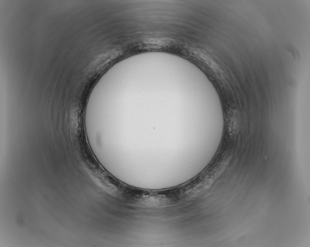 X0000112360455200909031913