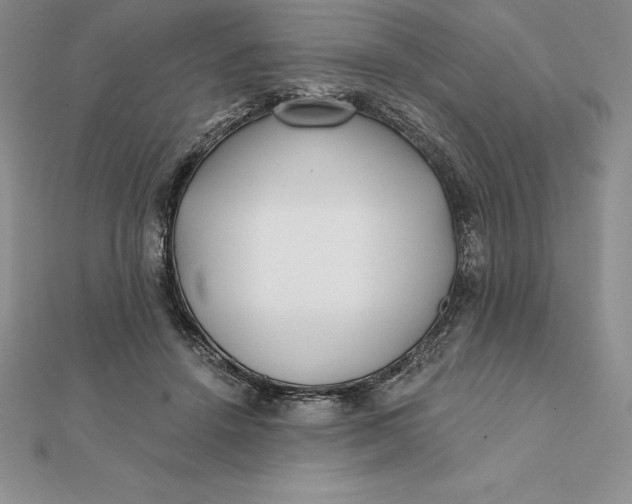 X0000112360456200909031913