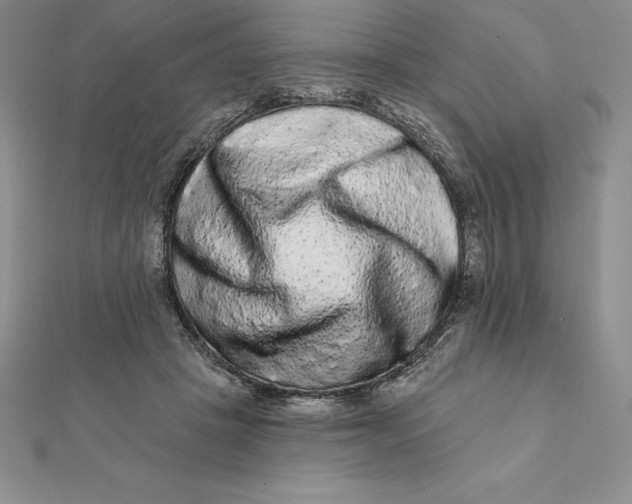X0000112360457200909031913