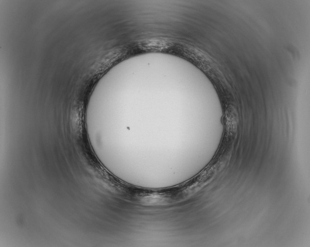 X0000112360460200909031913