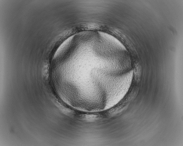 X0000112360462200909031913