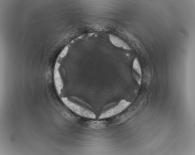 X0000112360465200909031913