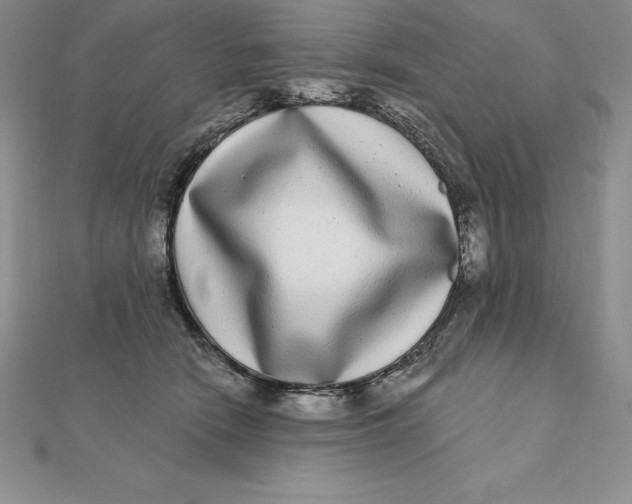 X0000112360466200909031913