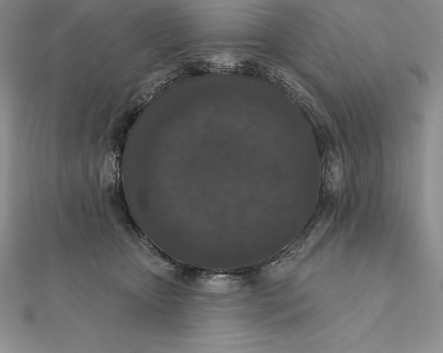 X0000112360467200909031913