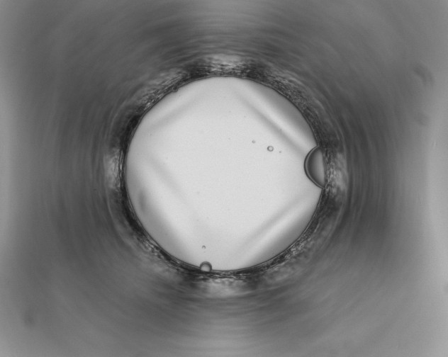 X0000112360468200909031913