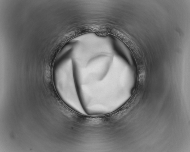 X0000112360469200909031913