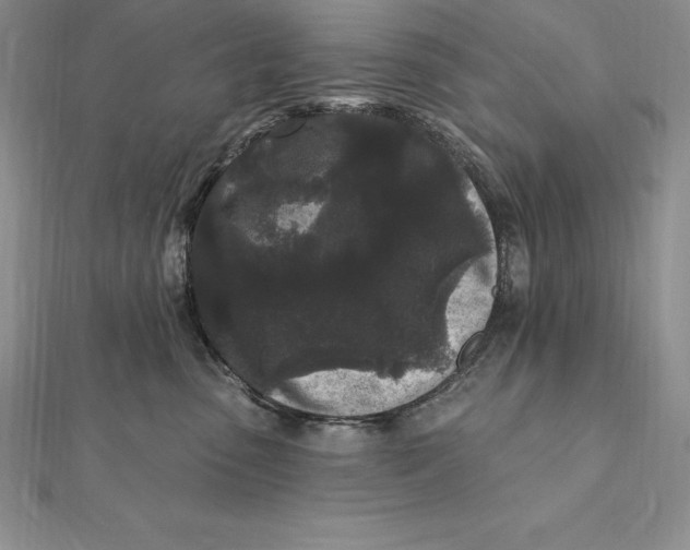 X0000112360475200909031914