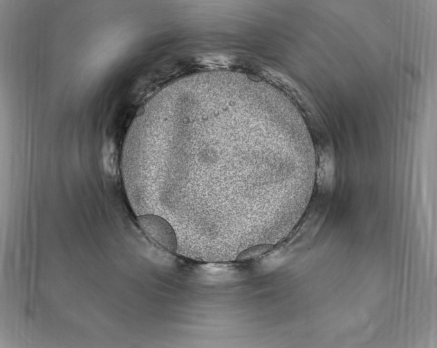 X0000112360477200909031914