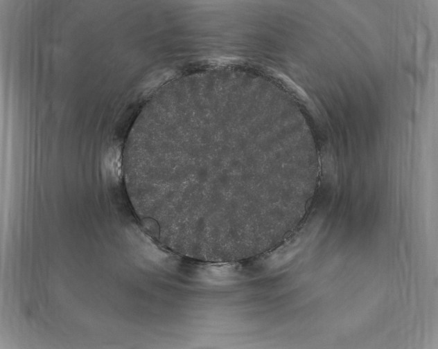 X0000112360479200909031914