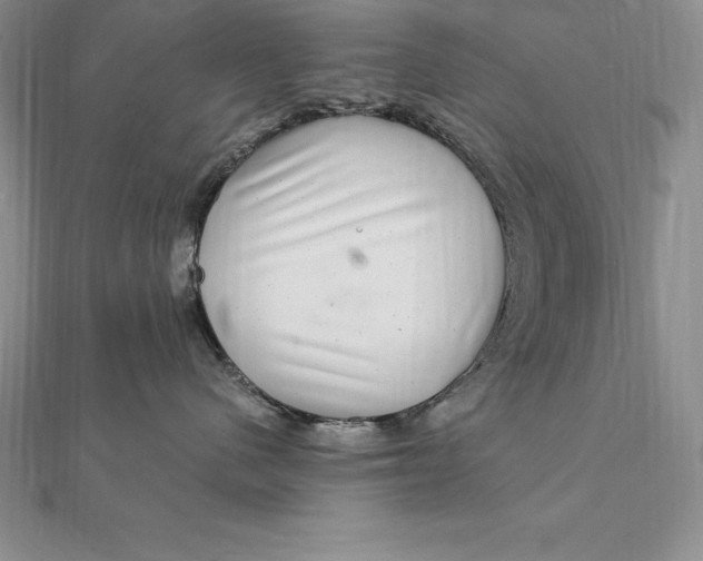 X0000112360480200909031914