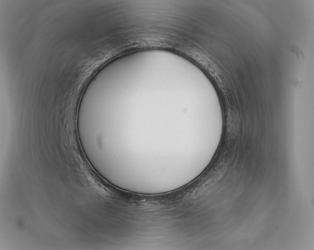X0000112360481200909031913