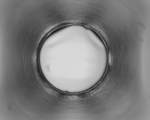 X0000112360483200909031913