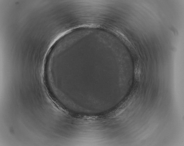 X0000112360484200909031913