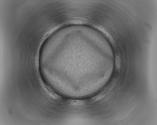 X0000112360486200909031913