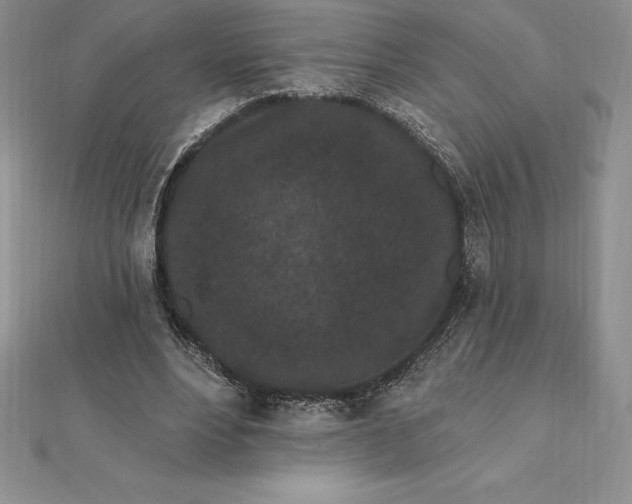X0000112360488200909031913