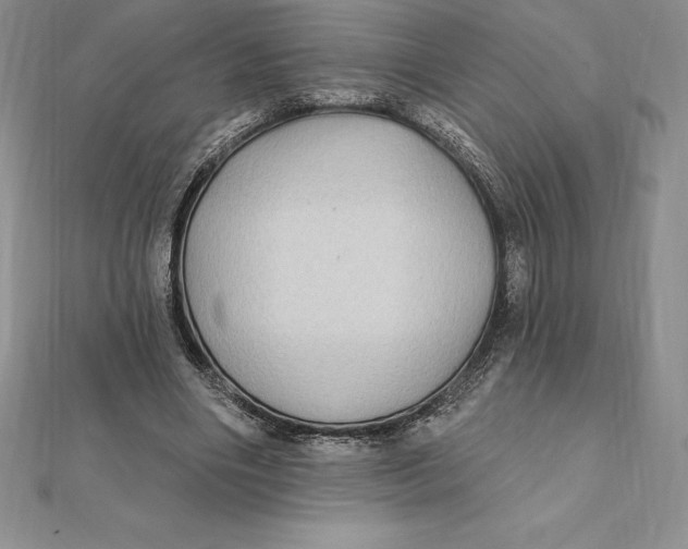X0000112360490200909031913