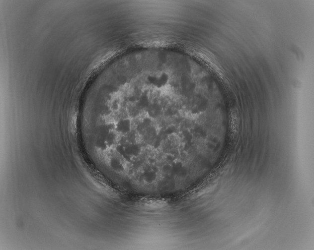 X0000112360491200909031913