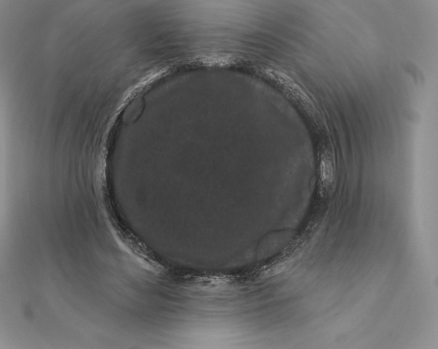 X0000112360492200909031913