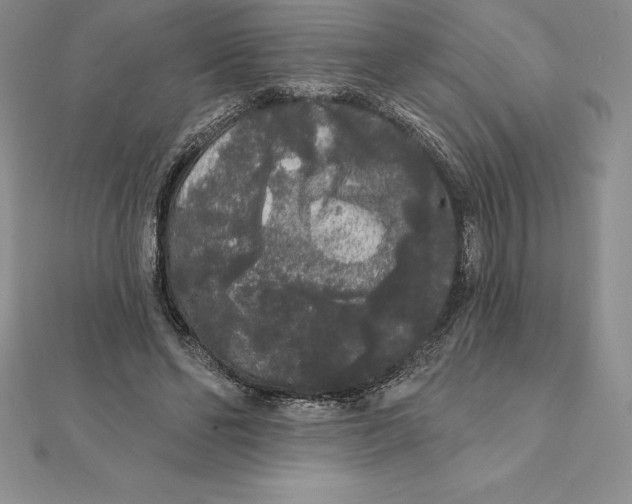 X0000112360494200909031913