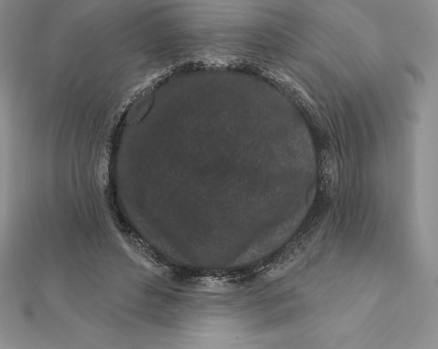 X0000112360496200909031913