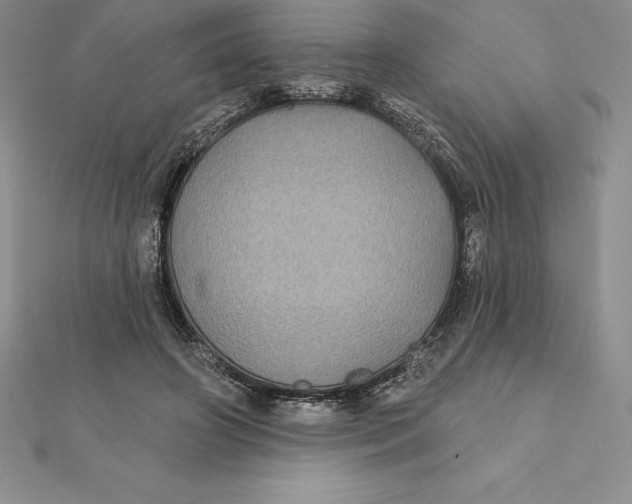 X0000112360498200909031913