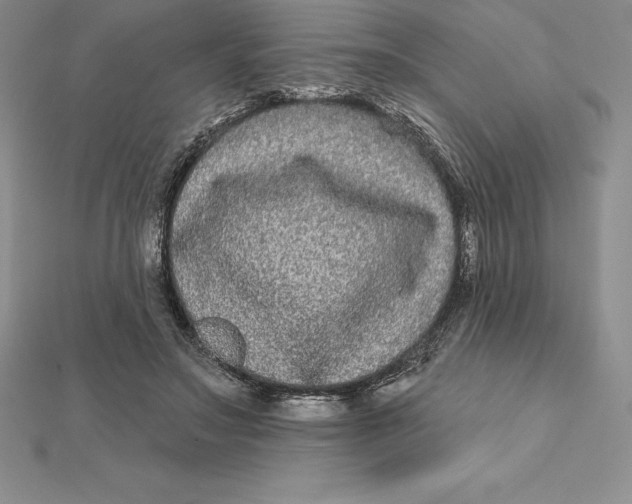 X0000112360499200909031913