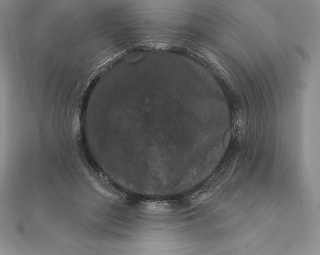 X0000112360500200909031913