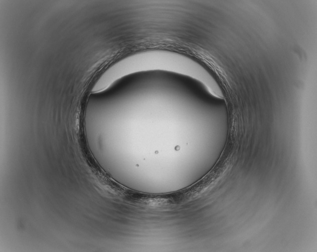 X0000112360501200909031913