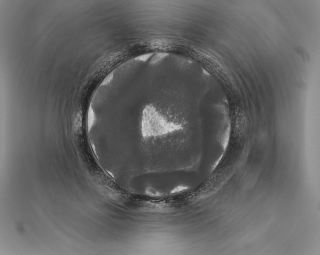X0000112360502200909031913