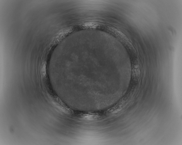 X0000112360504200909031913