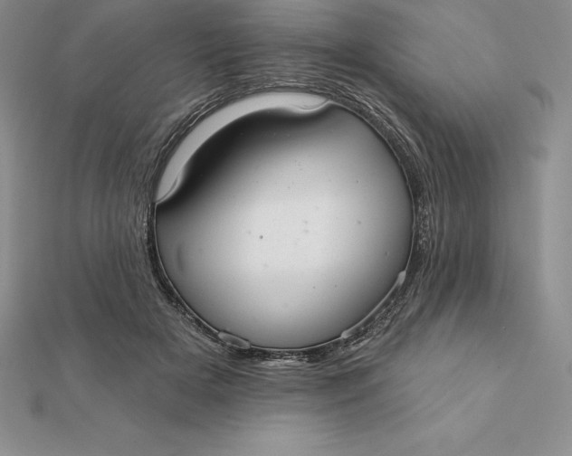 X0000112360505200909031913