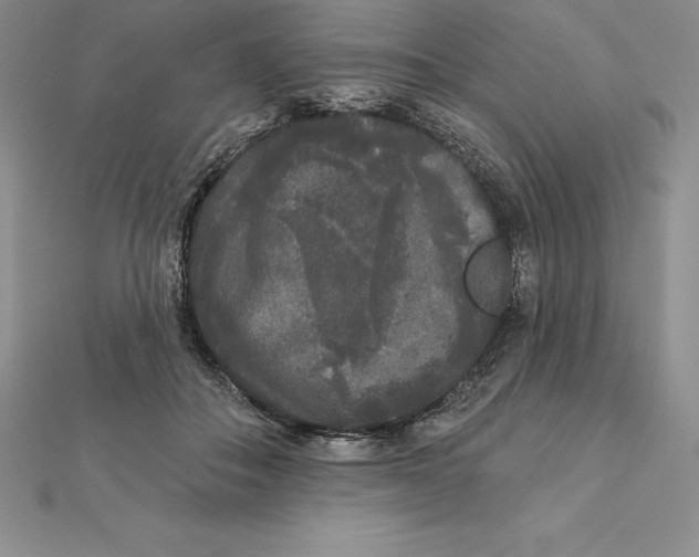 X0000112360506200909031913