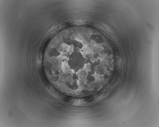 X0000112360507200909031913