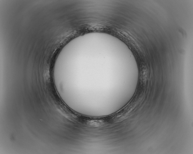 X0000112360508200909031913