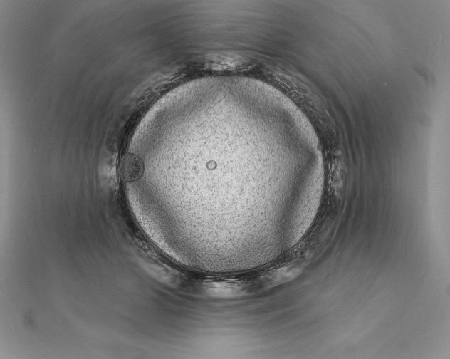 X0000112360510200909031913
