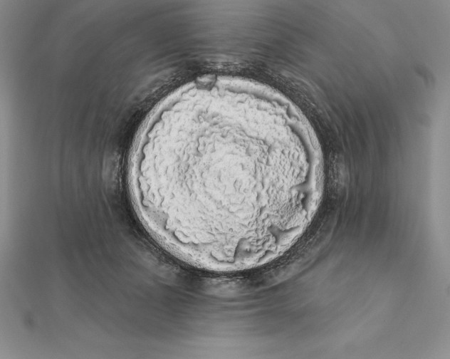 X0000112360511200909031913