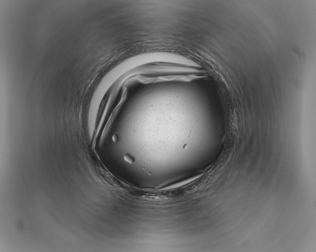 X0000112360512200909031913