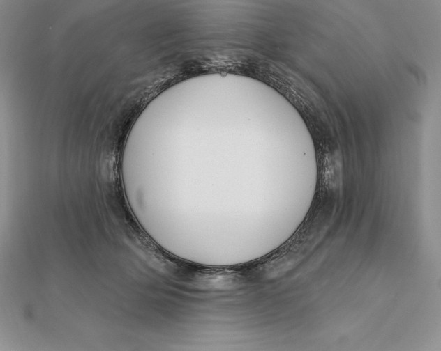 X0000112360514200909031913
