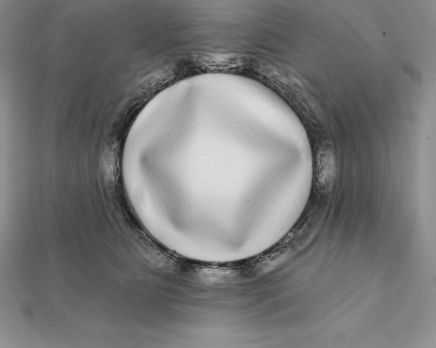 X0000112360515200909031913
