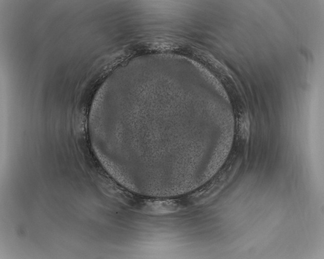 X0000112360517200909031913