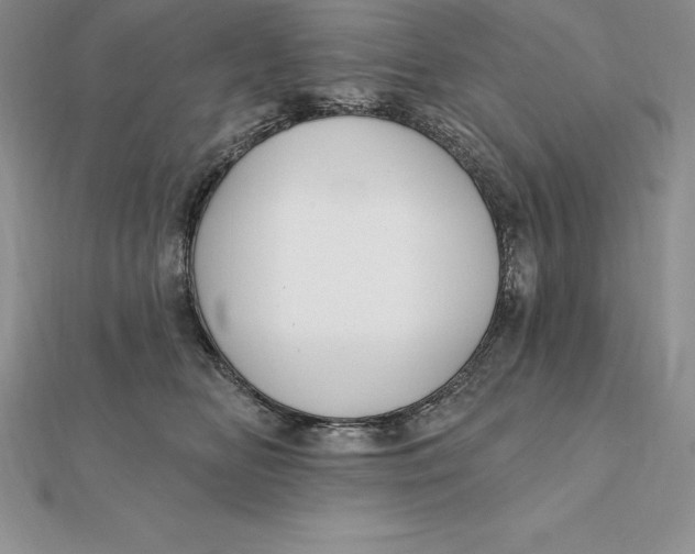 X0000112360518200909031913