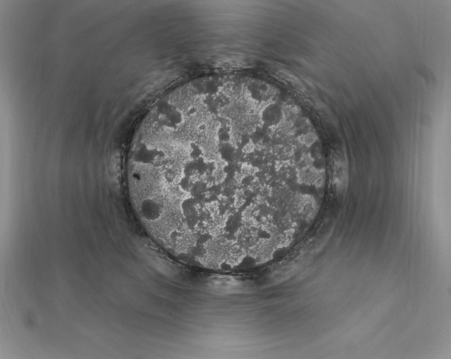 X0000112360519200909031913