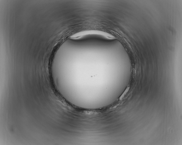 X0000112360520200909031913