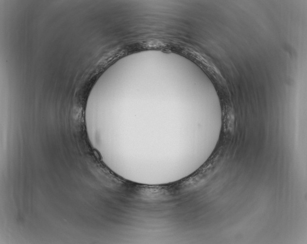 X0000112360521200909031913