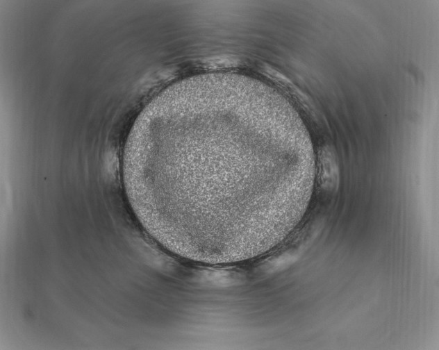 X0000112360523200909031912