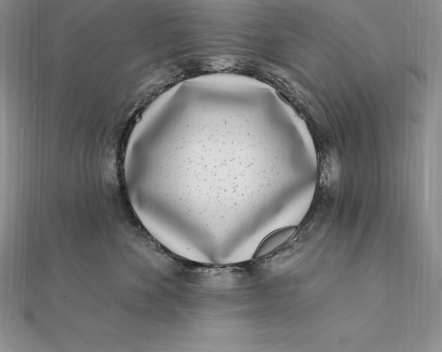 X0000112360524200909031912
