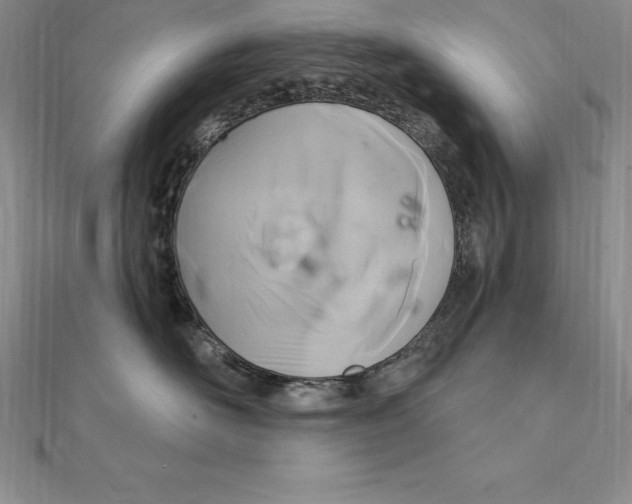X0000112360526200909031912