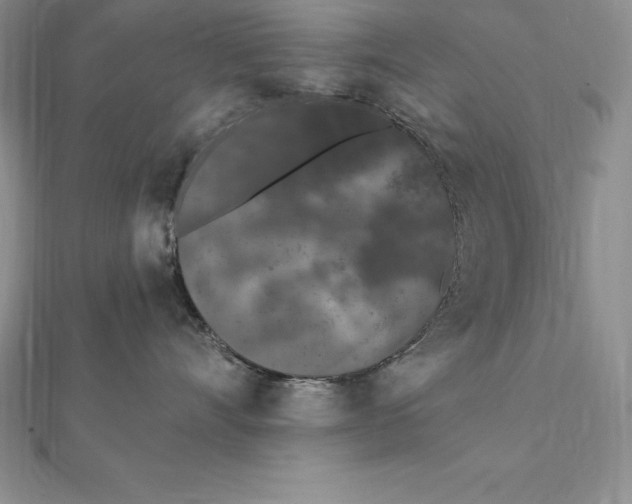 X0000112360528200909031912