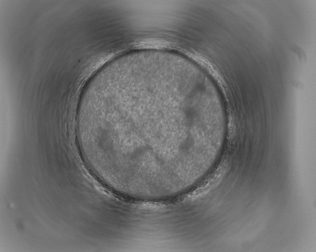 X0000112360529200909031912