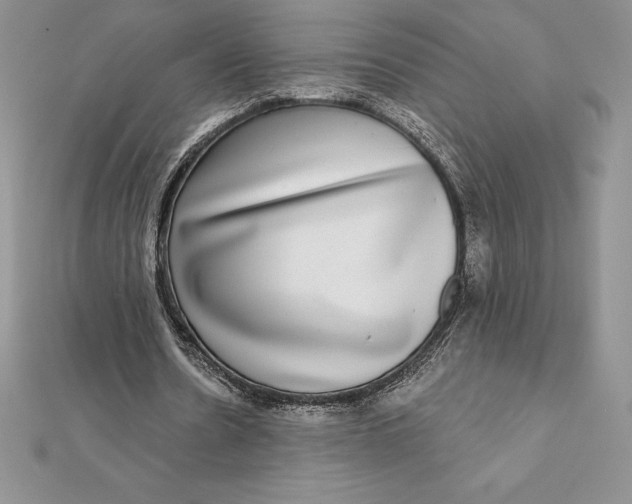 X0000112360530200909031912